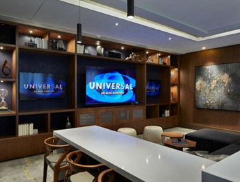Media room for sports and movies